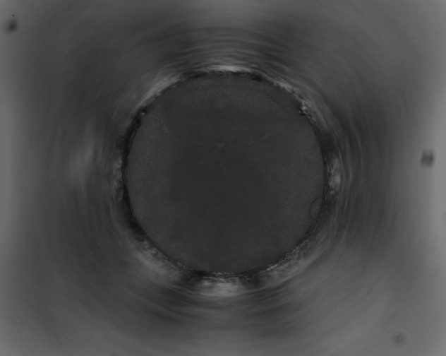 X0000101100559200807171915