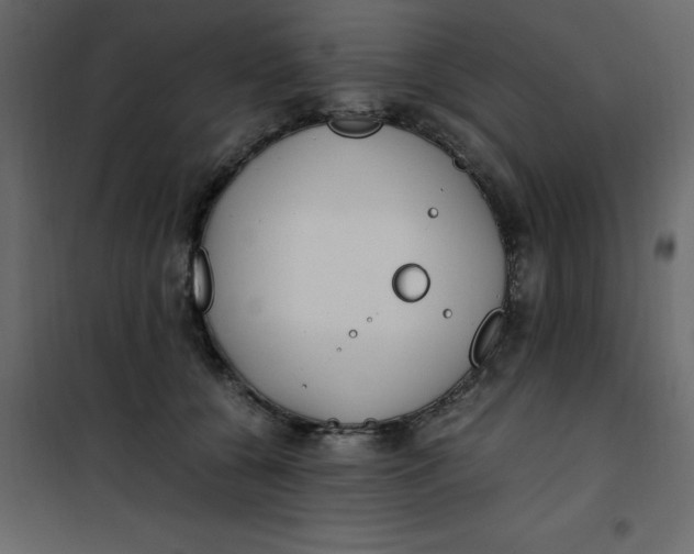 X0000101100560200807171915