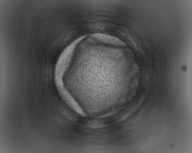 X0000101100561200807171915