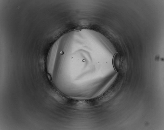 X0000101100562200807171915