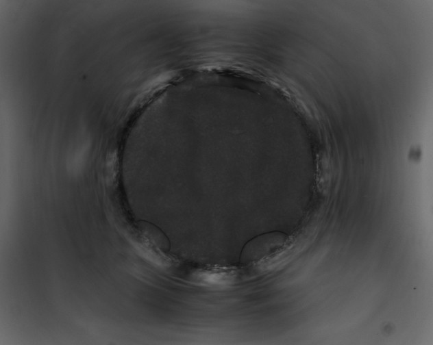 X0000101100563200807171915