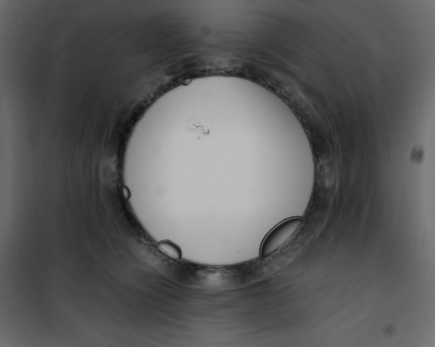 X0000101100564200807171915