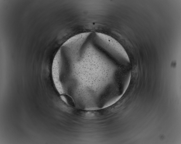 X0000101100566200807171915