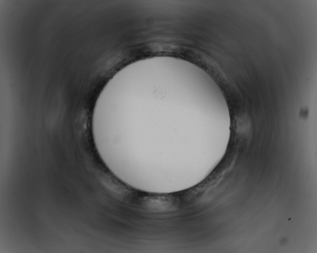 X0000101100567200807171915