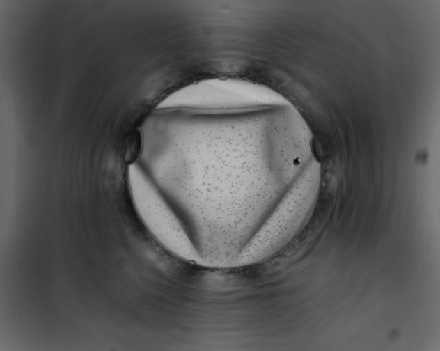 X0000101100568200807171915