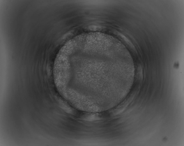 X0000101100569200807171915