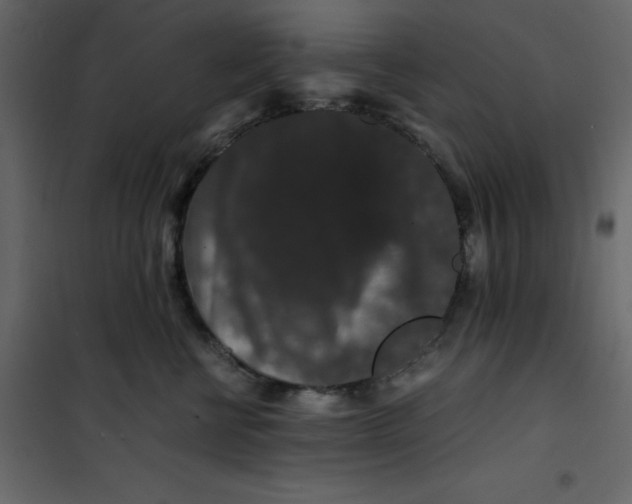 X0000101100570200807171915