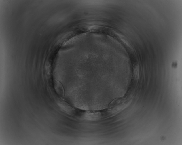 X0000101100571200807171915