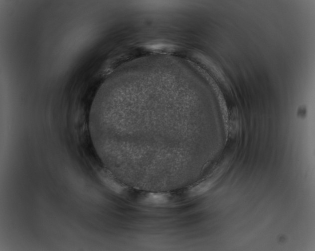 X0000101100573200807171915