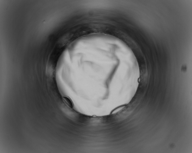 X0000101100574200807171915