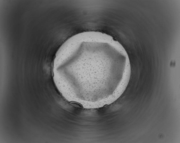 X0000101100576200807171915