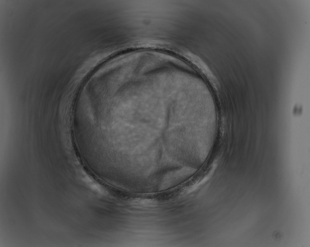 X0000101100577200807171914