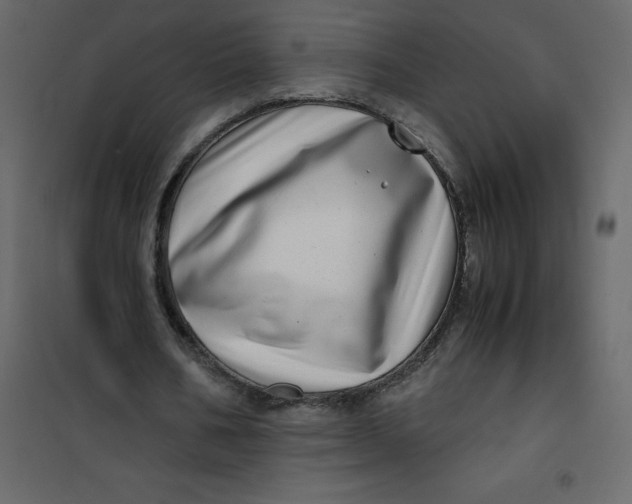 X0000101100578200807171914