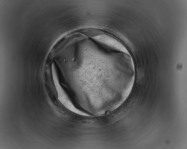 X0000101100580200807171914