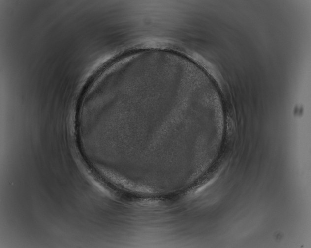 X0000101100581200807171914