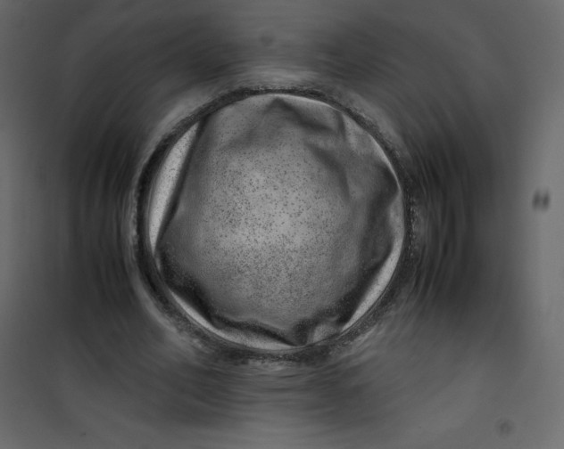 X0000101100582200807171914