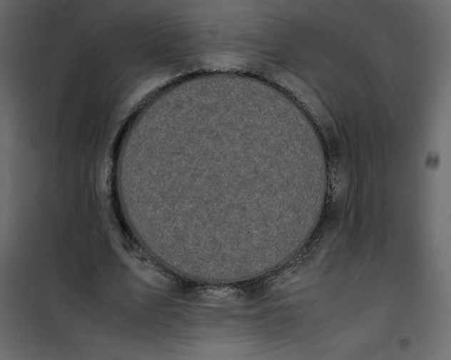 X0000101100583200807171914