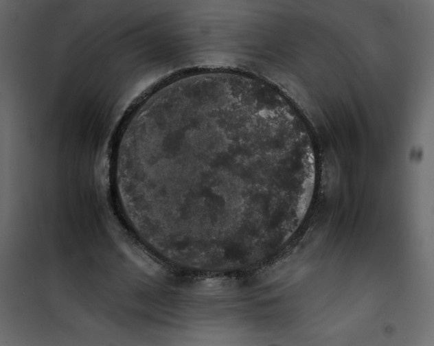 X0000101100584200807171914