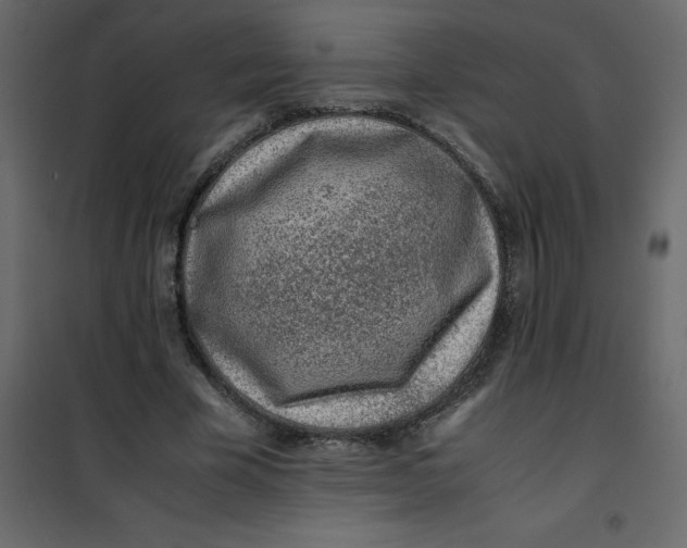 X0000101100585200807171914