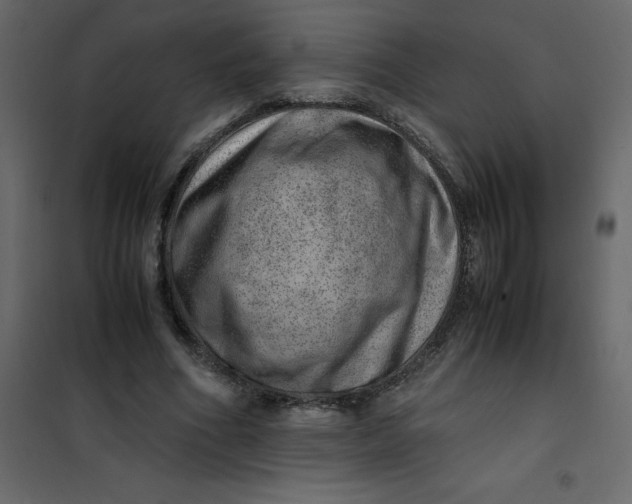 X0000101100586200807171914