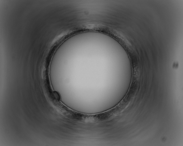 X0000101100587200807171914