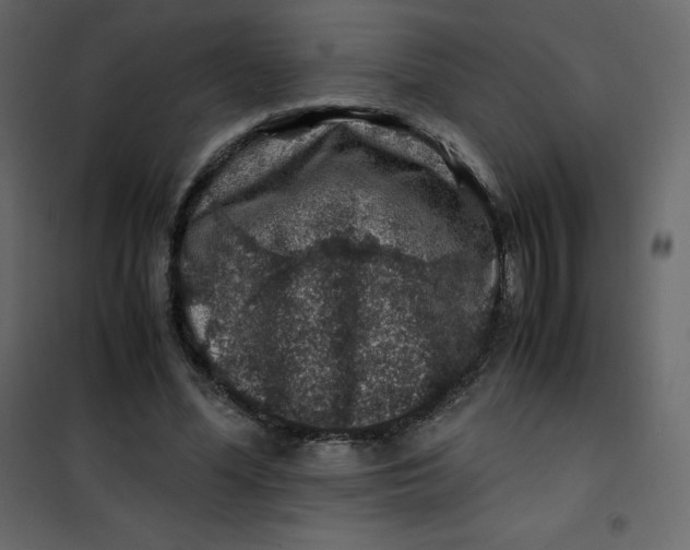 X0000101100588200807171914