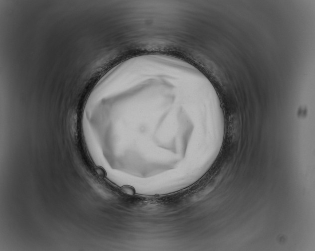 X0000101100589200807171914