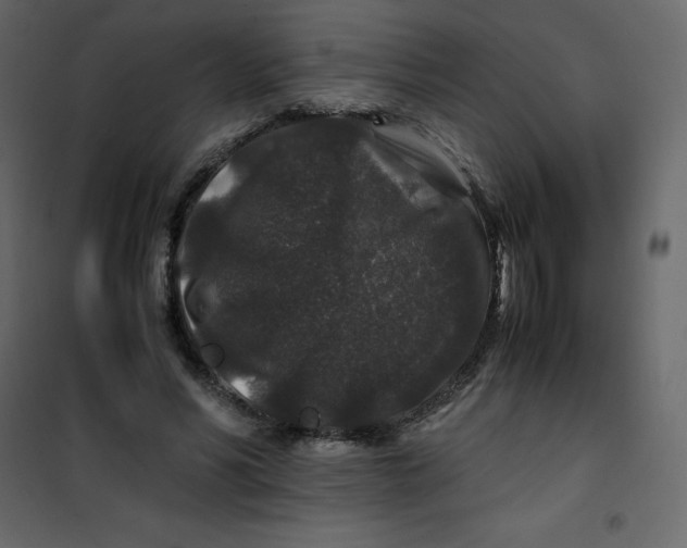 X0000101100590200807171914