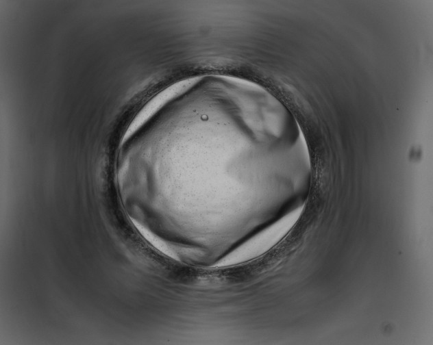 X0000101100591200807171914