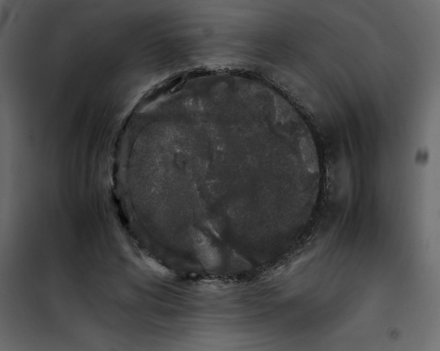 X0000101100592200807171914