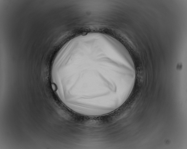 X0000101100593200807171914