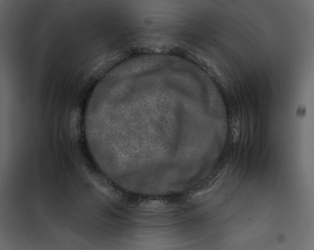 X0000101100594200807171914