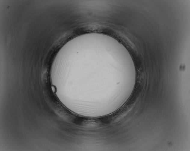 X0000101100597200807171914