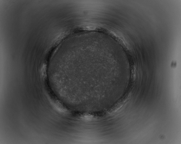 X0000101100598200807171914