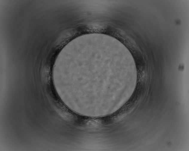 X0000101100599200807171914