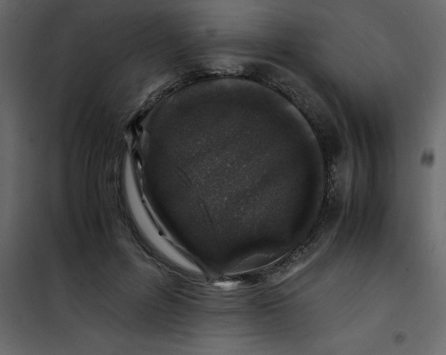 X0000101100600200807171914