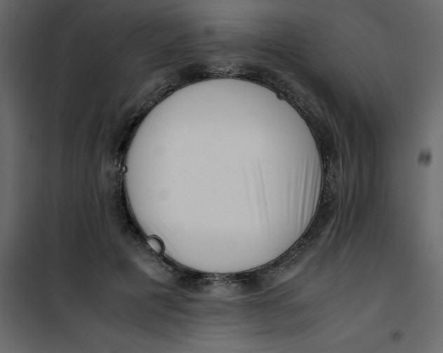 X0000101100601200807171914