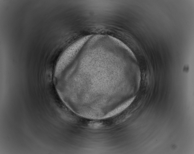 X0000101100602200807171914