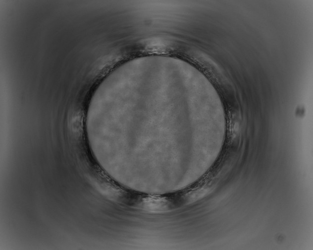 X0000101100603200807171914