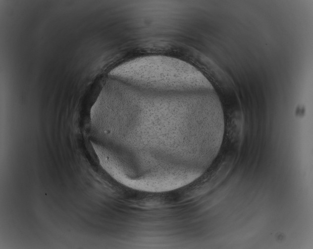 X0000101100604200807171914