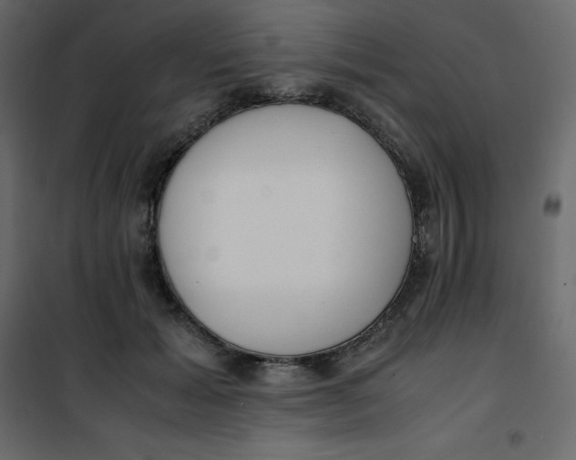 X0000101100605200807171914