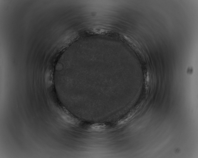 X0000101100606200807171914