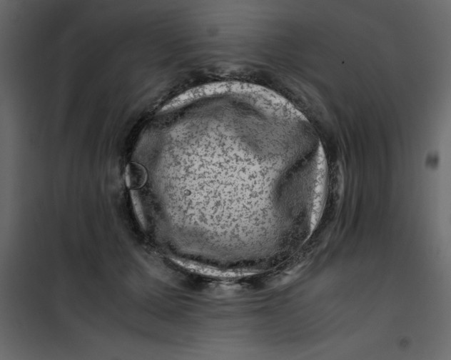 X0000101100607200807171914