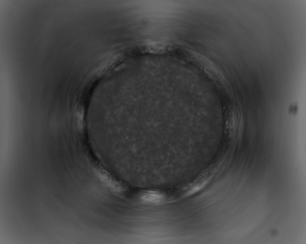 X0000101100610200807171914