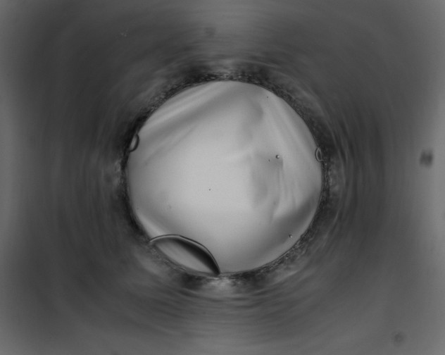 X0000101100611200807171914