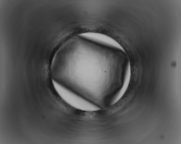 X0000101100612200807171914