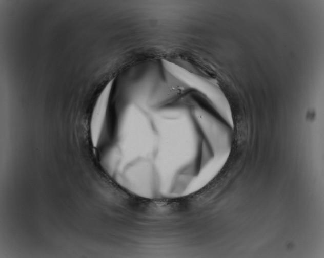 X0000101100613200807171914