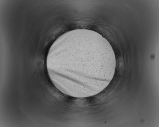 X0000101100615200807171914