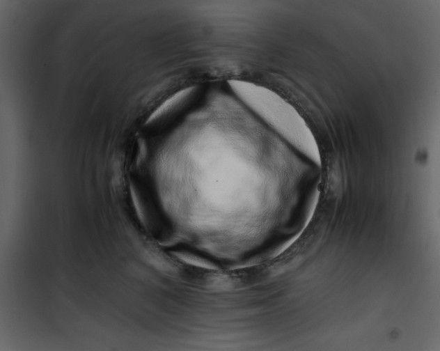 X0000101100616200807171913