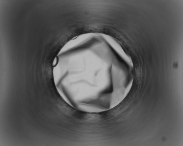 X0000101100617200807171913